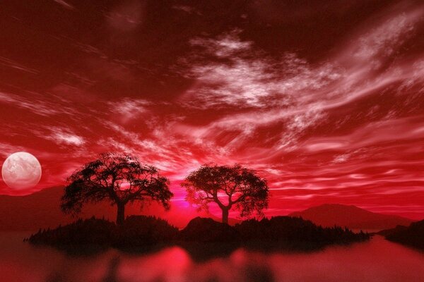 Beautiful landscape in red shades