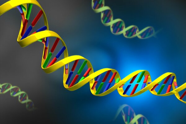 Die Struktur der DNA-Zelle. Bild von Desoxyribonukleinsäure