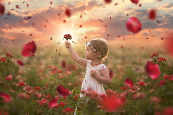 A little girl in the middle of red roses