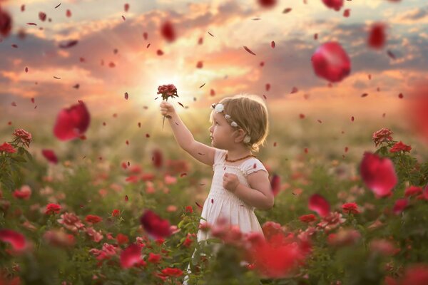 La petite fille au milieu des roses rouges