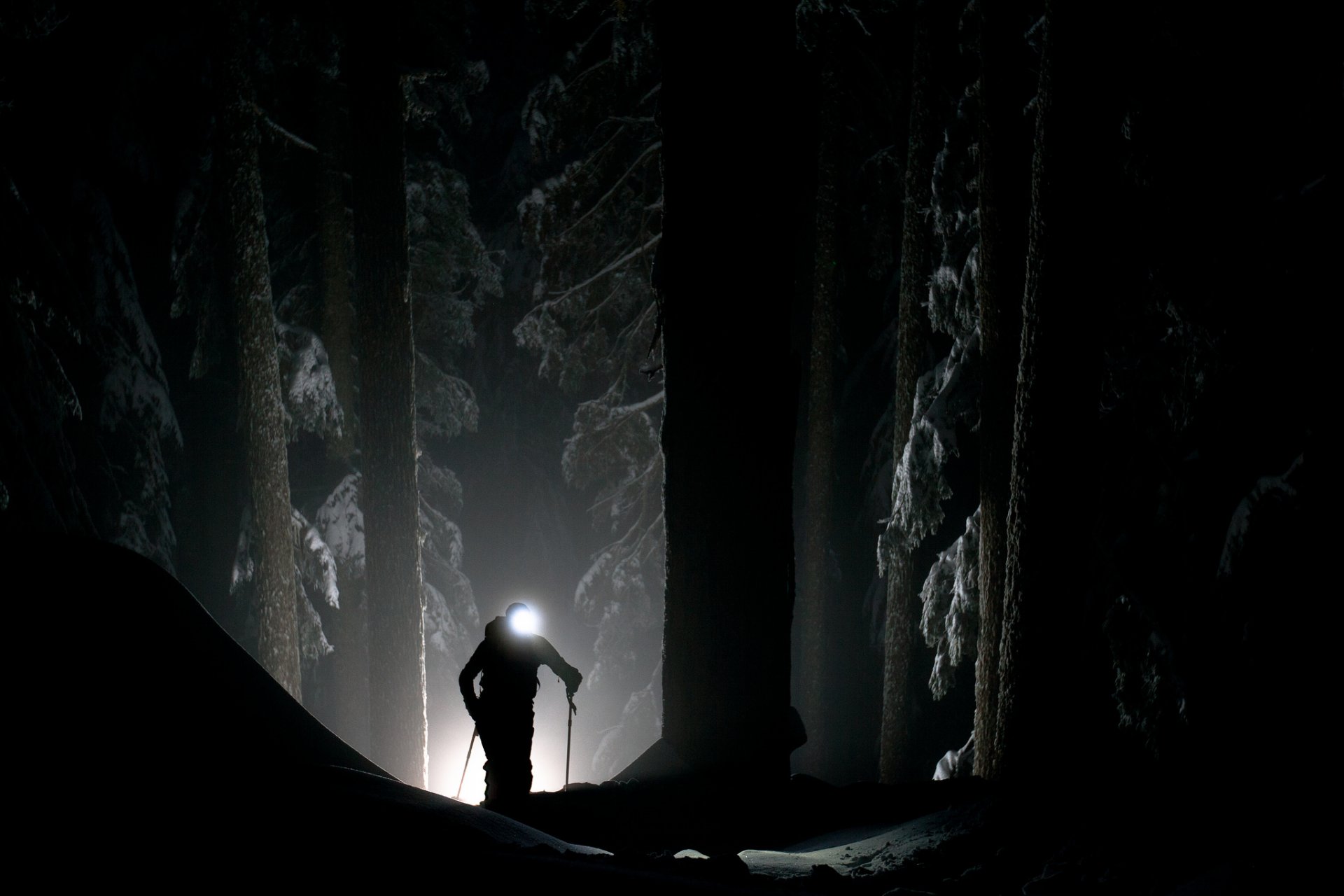 hombre bosque oscuridad mística foco luz invierno