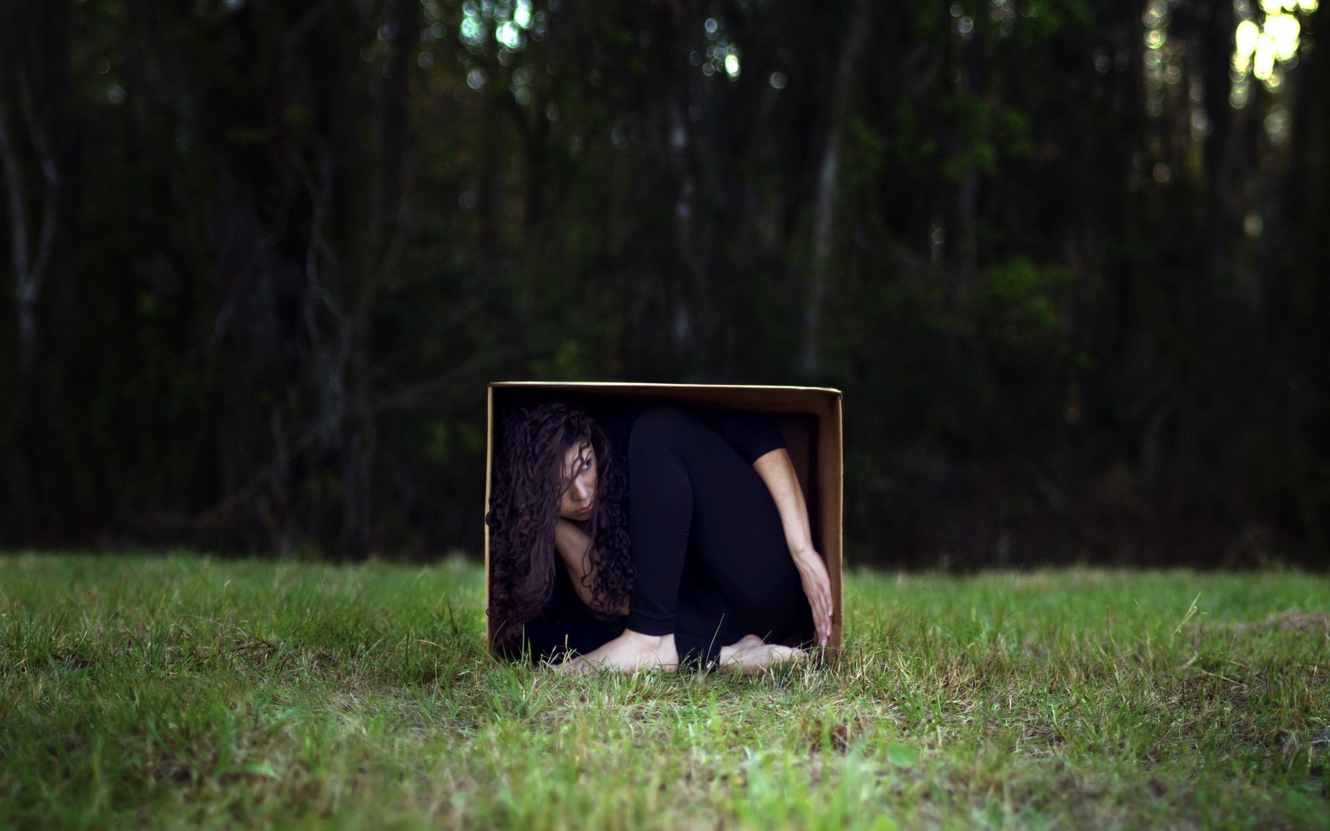 la jeune fille la boîte la situation