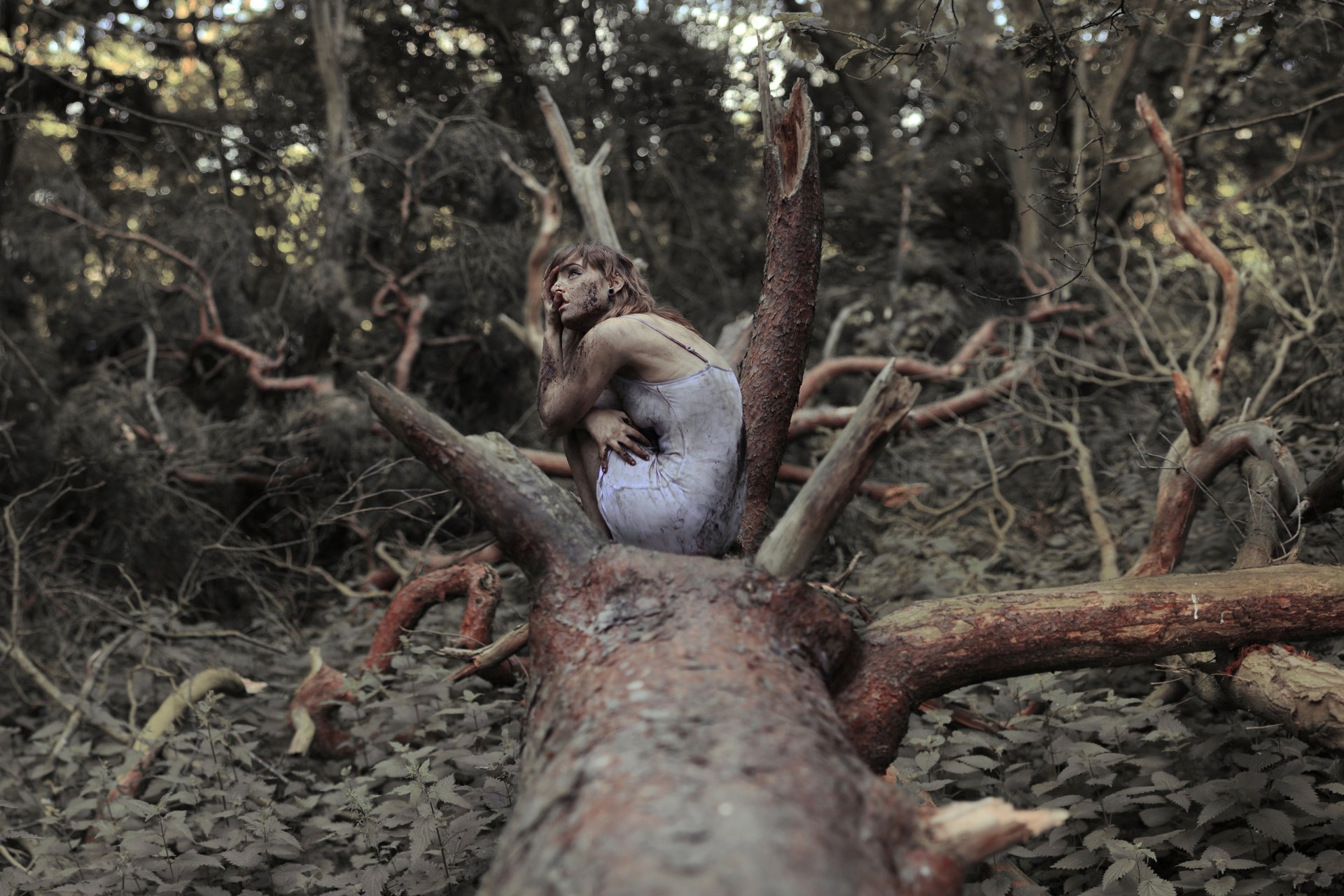 the spriggan girl forest dirt tree nettle