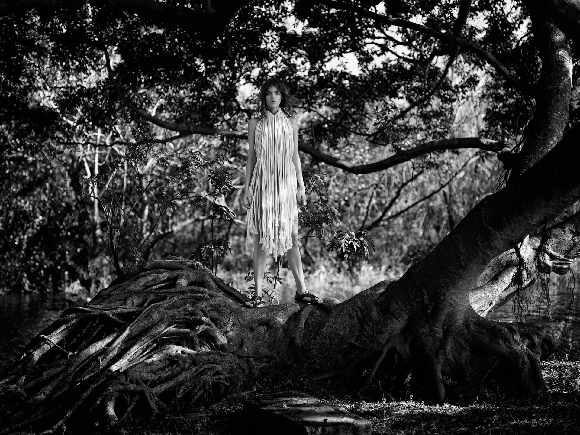 meghan collison forest the roots tree photoshoot intermission