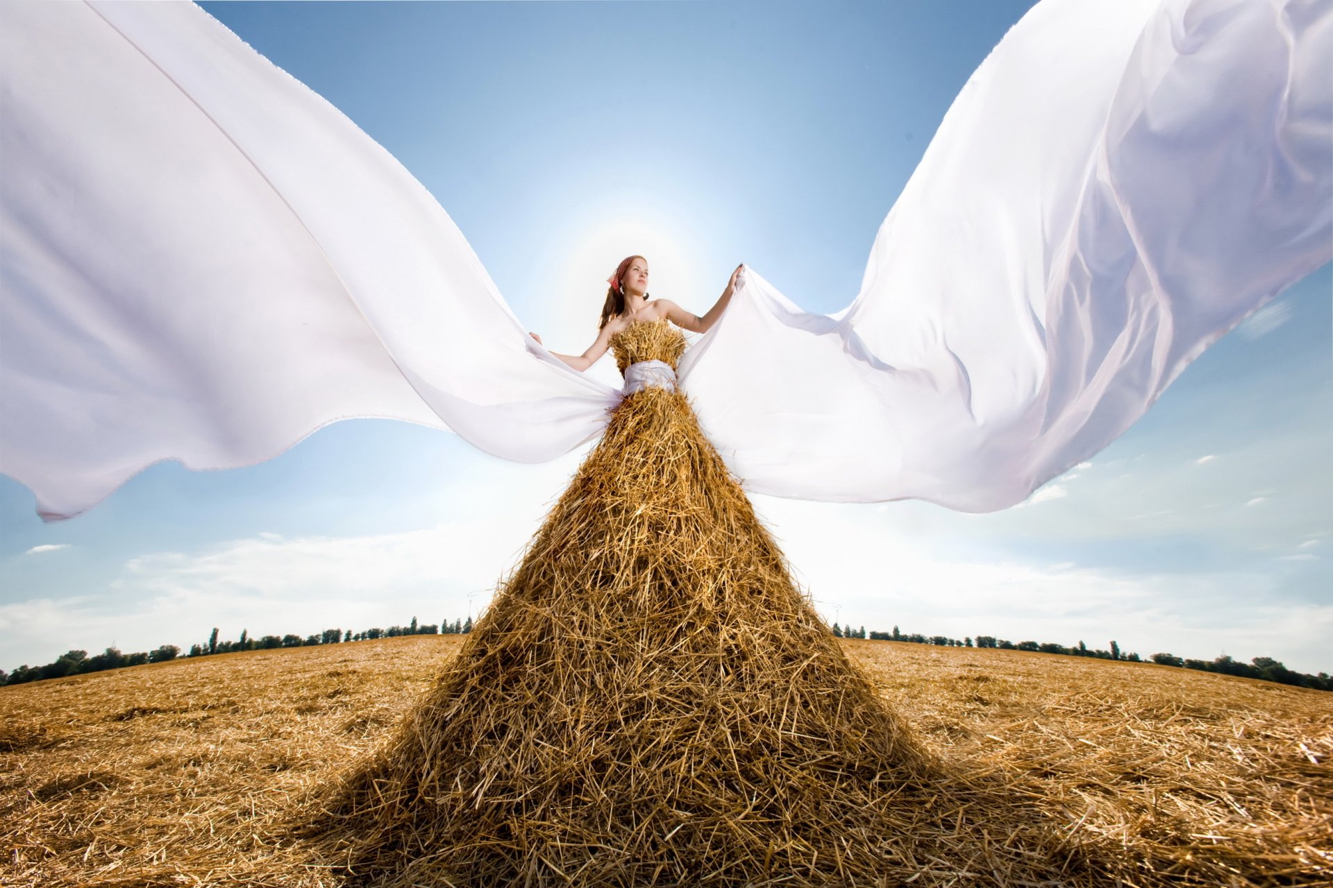 creative the situation dry grass hay straw girl sky sun photo