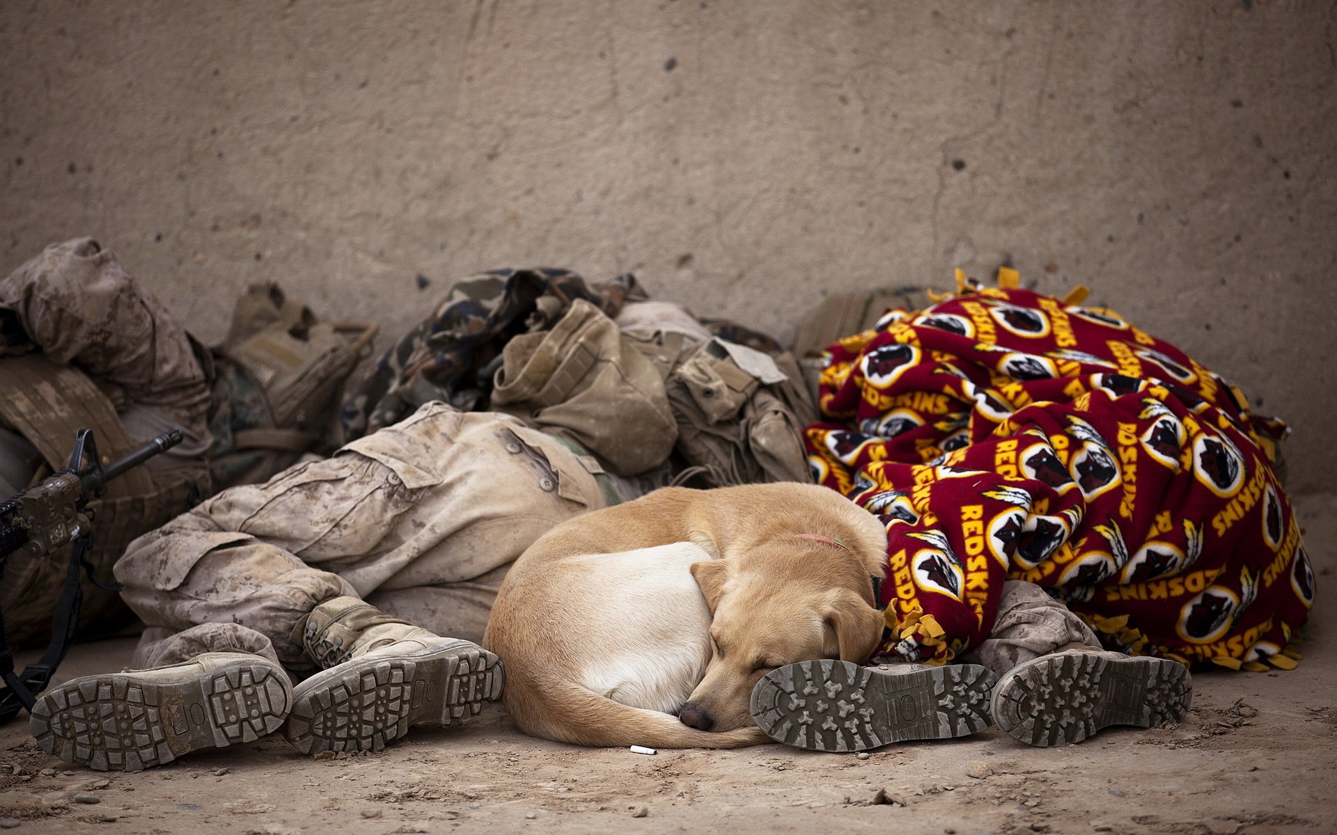 soldaten hund freund