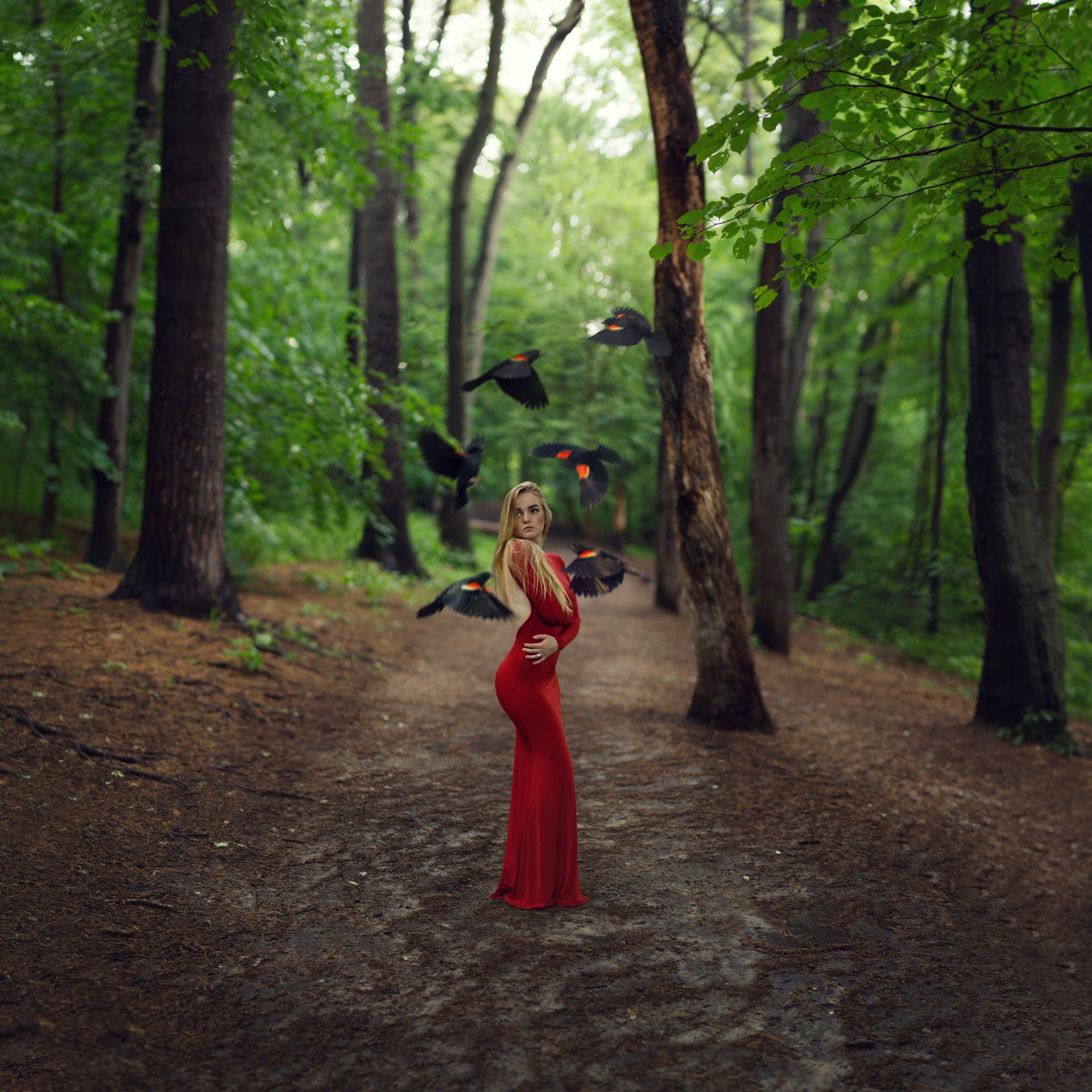 pring girl in red dress figure birds tree