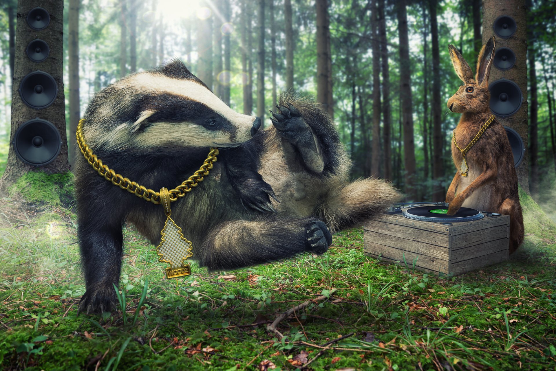 badger hare dj dj disco breakdance chain forest