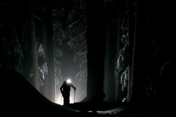 Images of a man in a dark forest