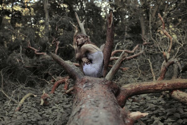 A dirty girl is sitting on a tree in the forest