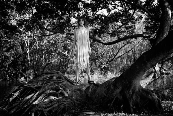 Photo shoot on the roots of trees