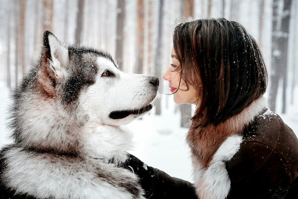 A girl and a dog with snow looks at each other