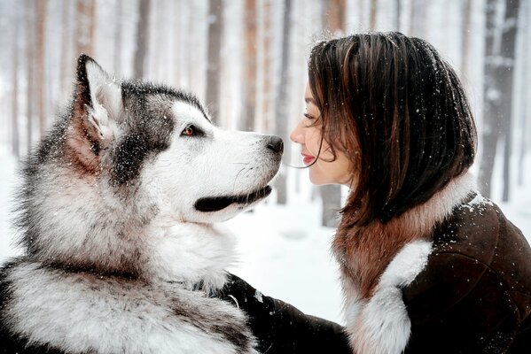 Chica y perro con nieve mirando el uno al otro