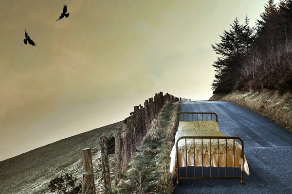 Letto di ferro sulla strada vicino alla scogliera