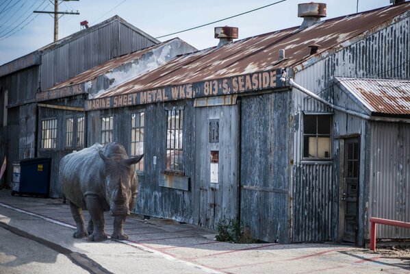 A rhinoceros walks down the street