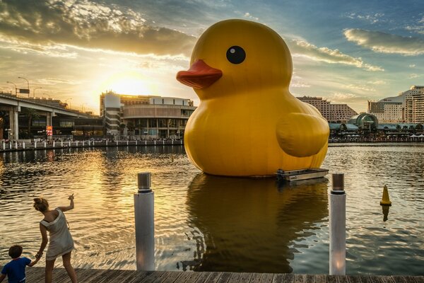 Große gelbe Ente auf dem Wasser in der Stadt