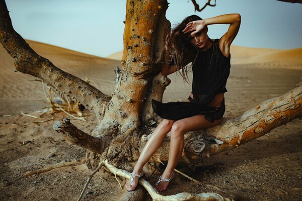 Model Girl sitzt auf einem Baum in der Wüste