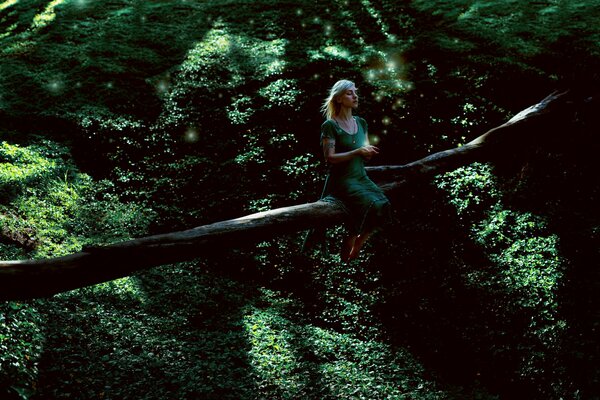 Chica en vestido verde en el bosque en un árbol