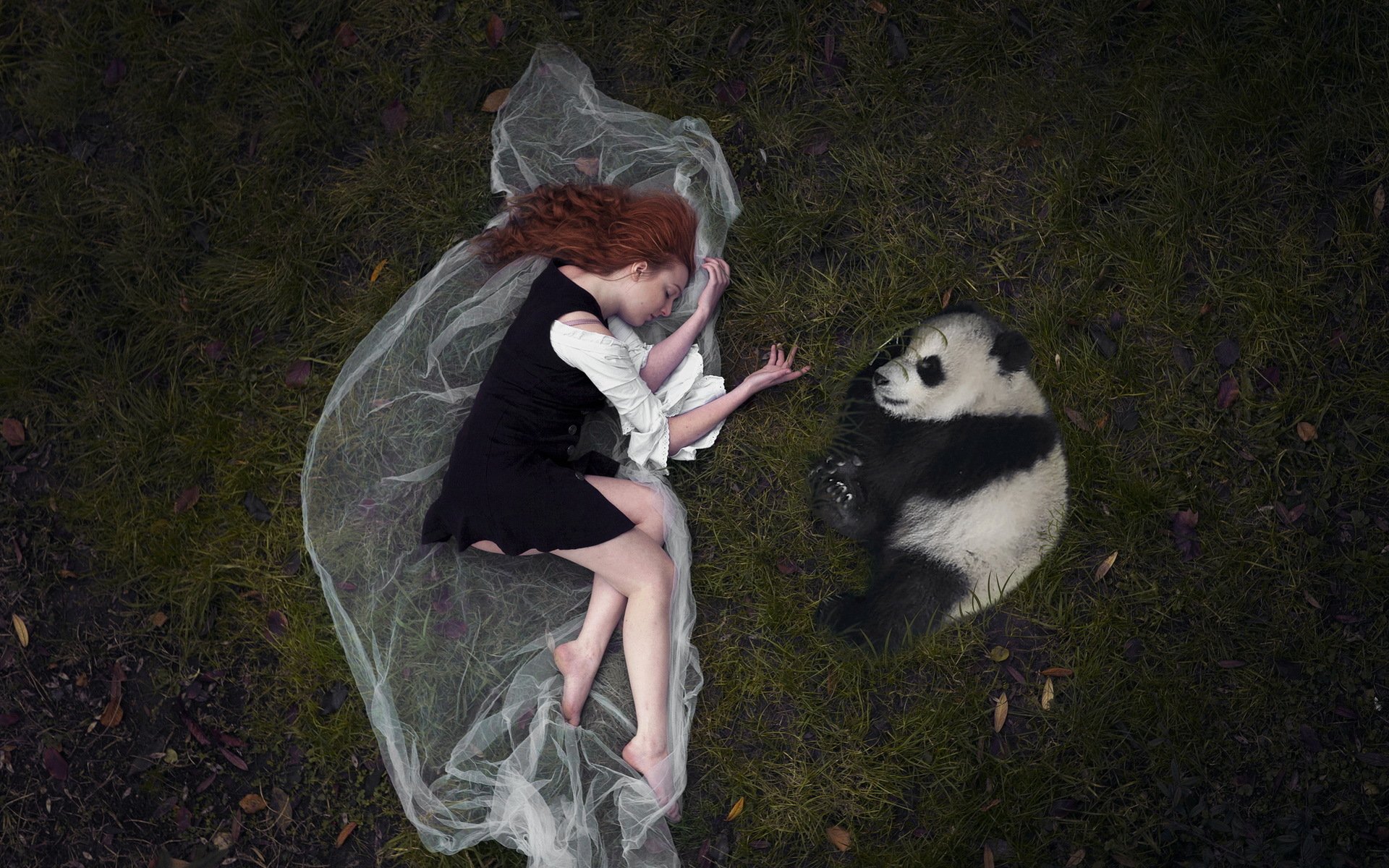 girl panda background