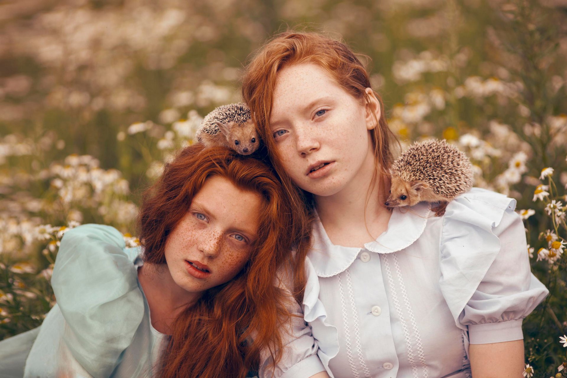 les filles taches de rousseur des hérissons des enfants de la camomille