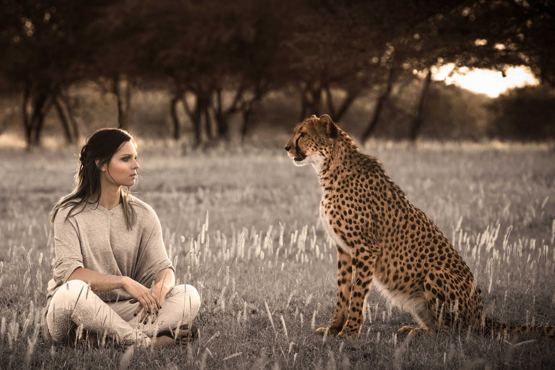 fenninger mädchen gepard blick