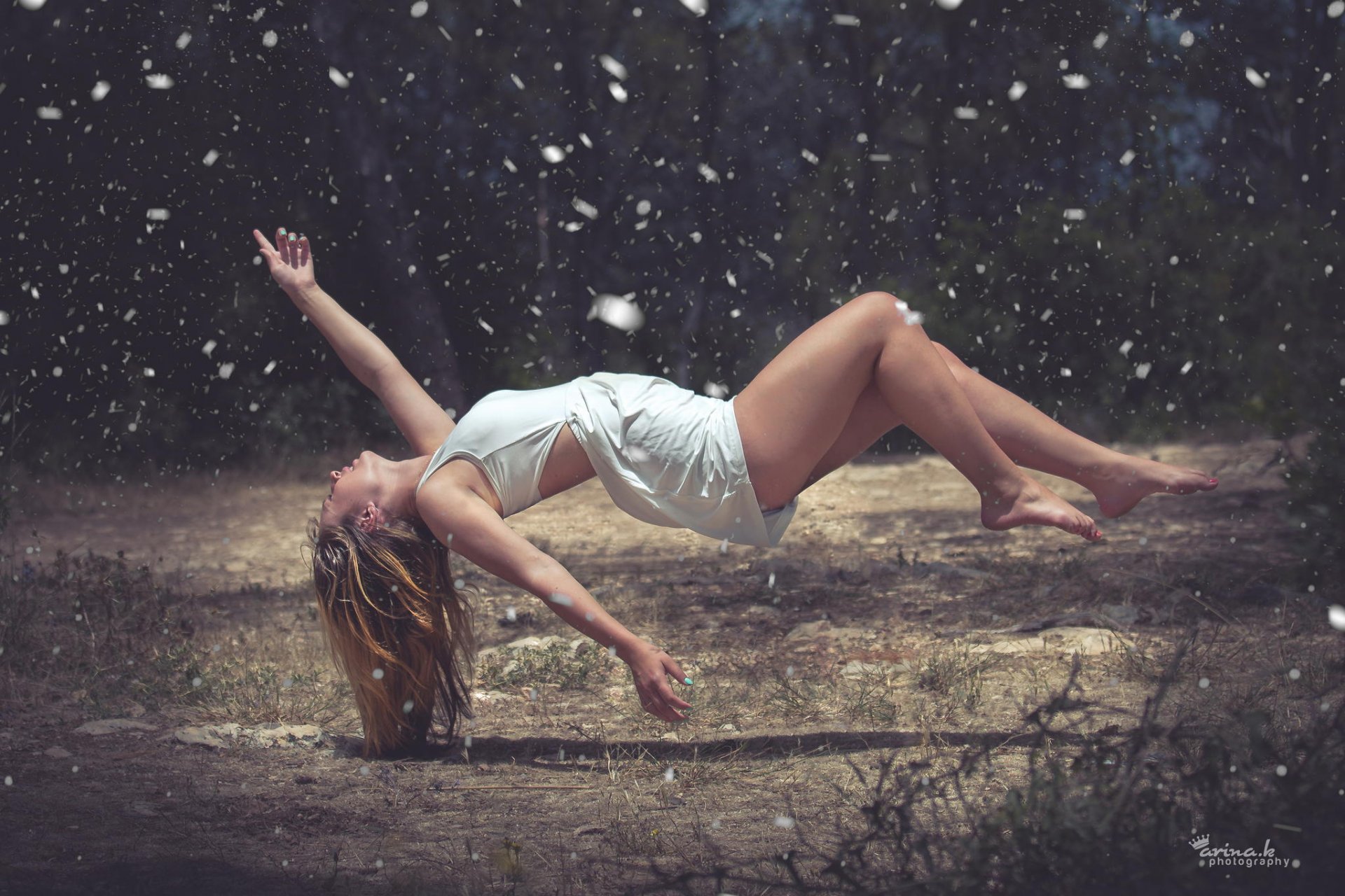 la jeune fille la forêt le vol les plumes les poils la situation