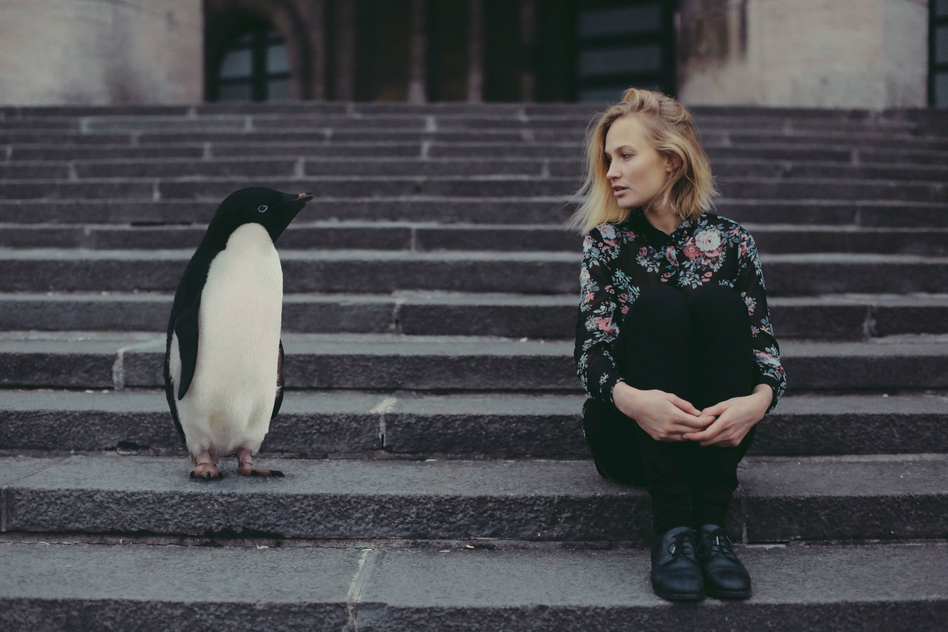 la jeune fille le pingouin l escalier