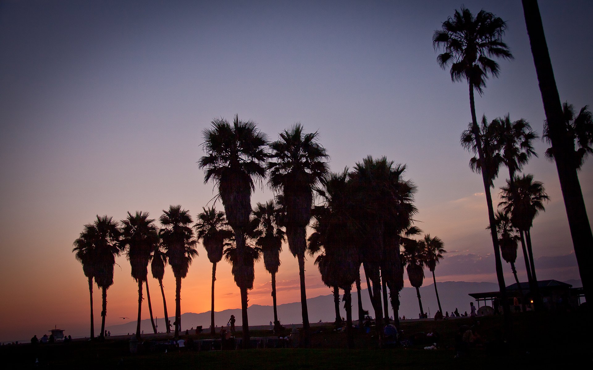 puesta del sol verano vennice beach la los ángeles california ee.uu. palm