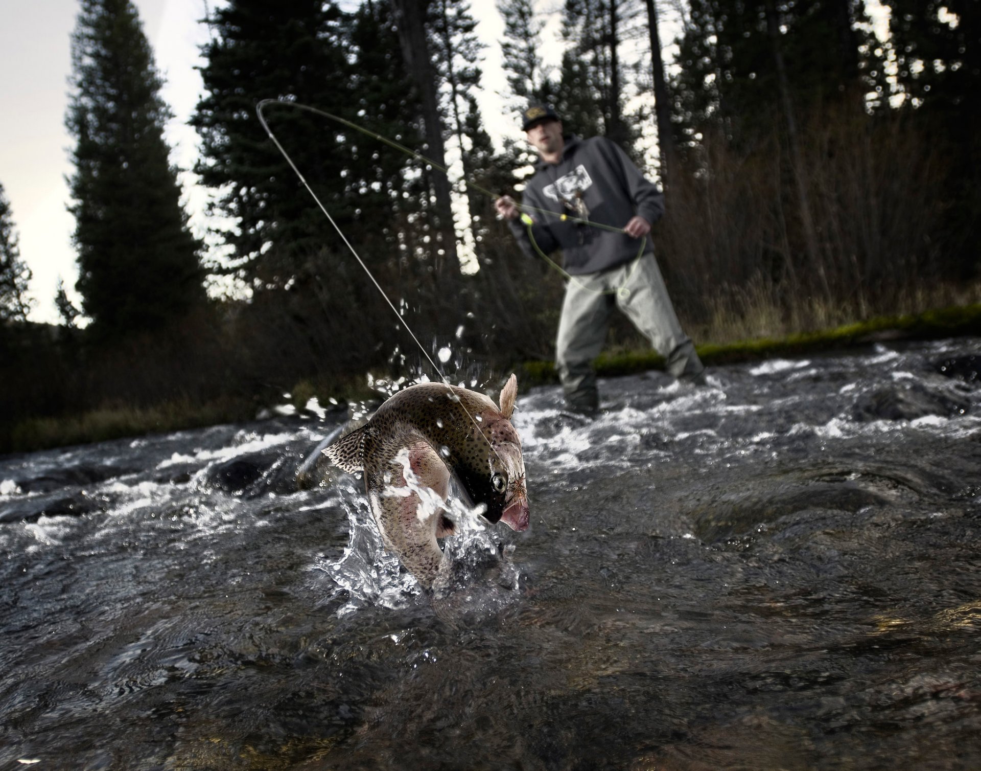 pescador pesca pescado splash corte suerte