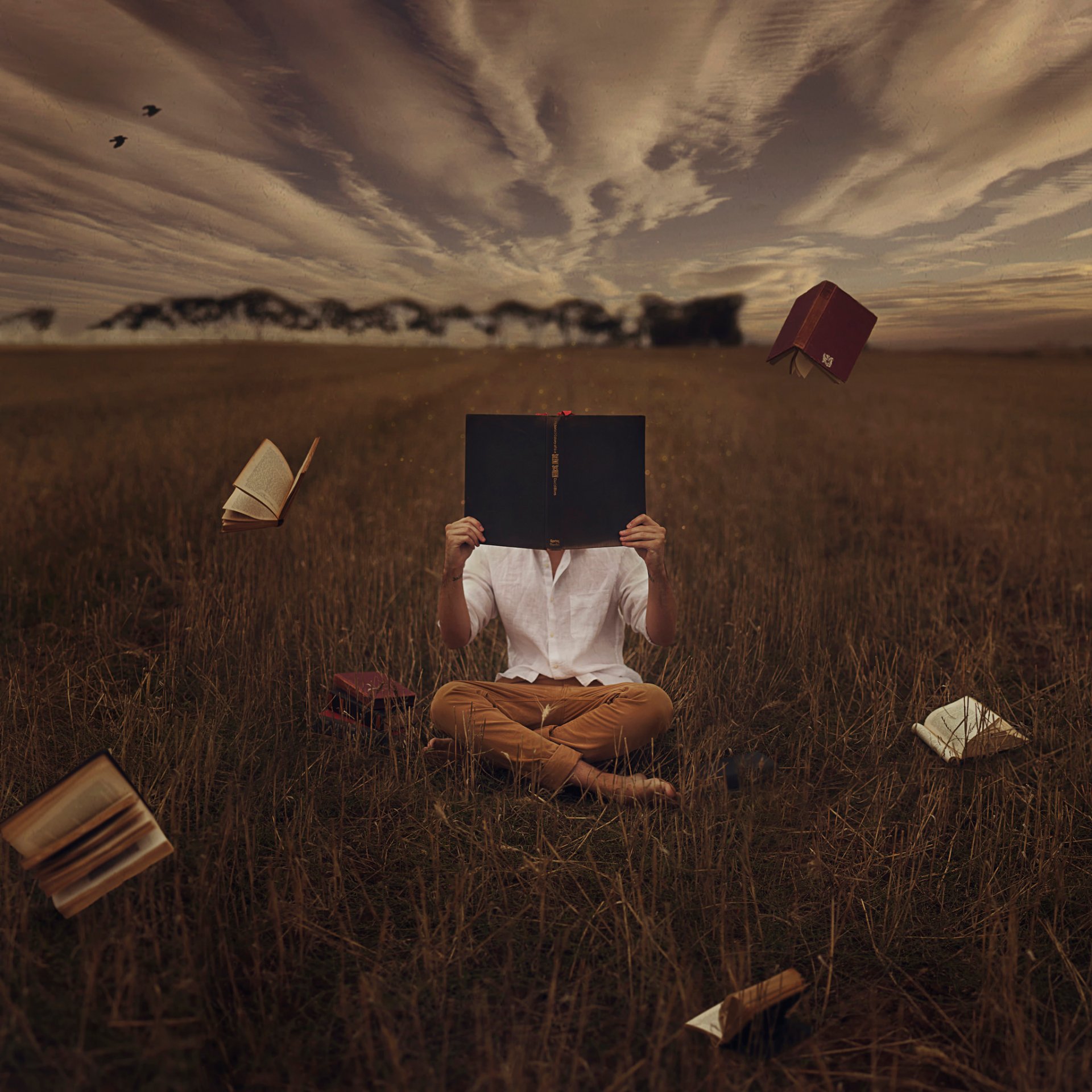 Размышление над прочитанным. Книга человек. Сюрреализм. Фотосессия с книжкой в поле. Чтение в одиночестве.