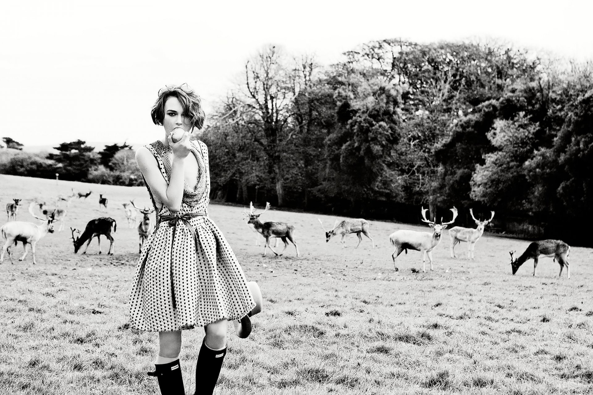 keira knightley le cerf le terrain à la mode