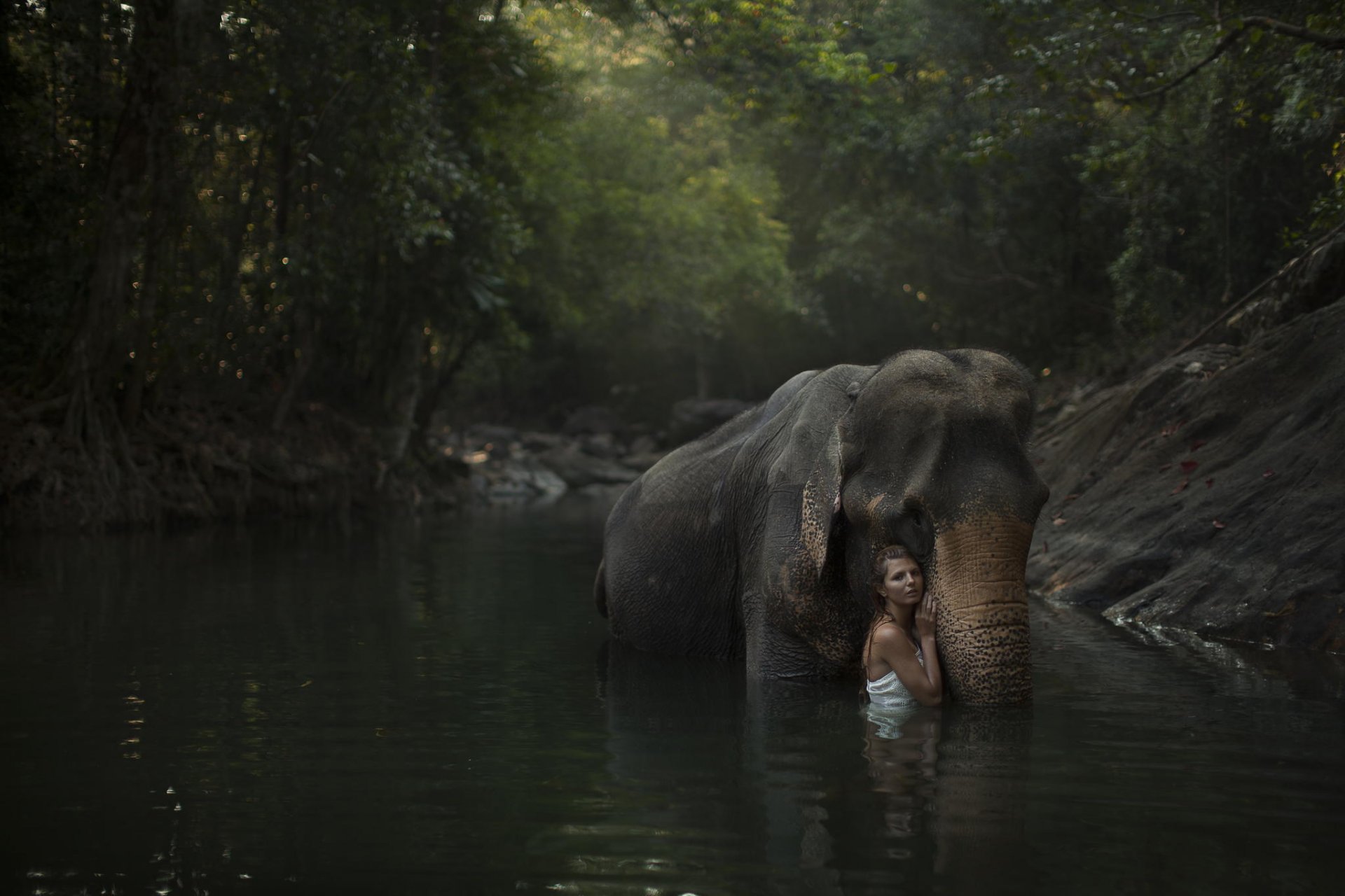 la jeune fille modèle rivière forêt éléphant