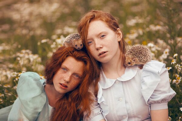 Photo two beautiful girls with hedgehogs