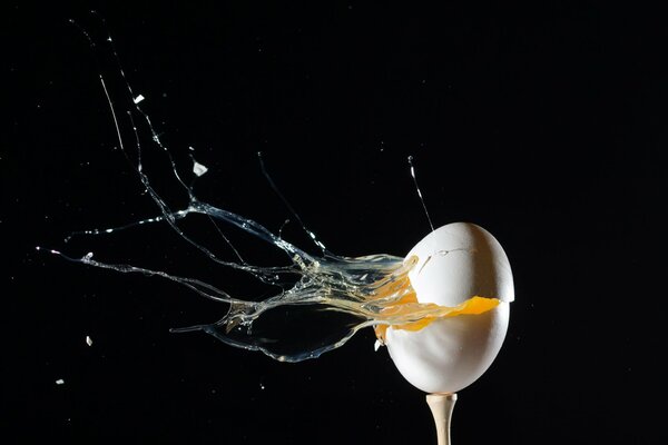 A splitting eggshell on a black background