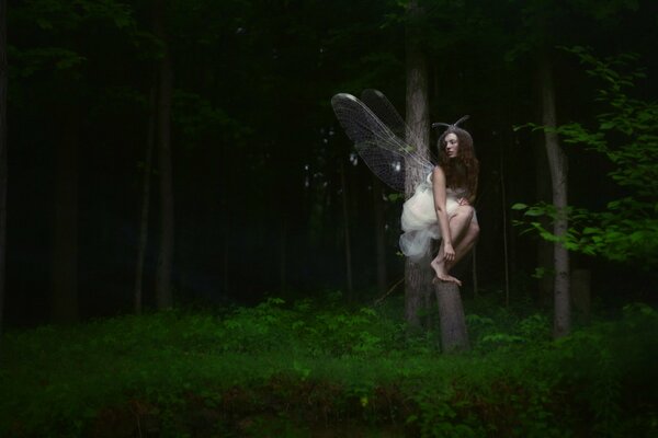 Forest nymph at night in the forest