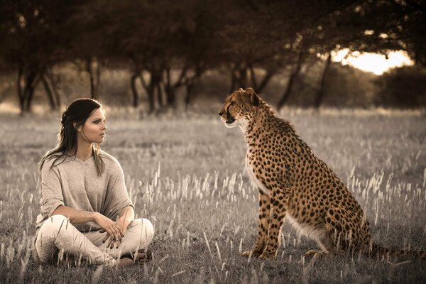 A sitting girl and a cheetah look into each other s eyes