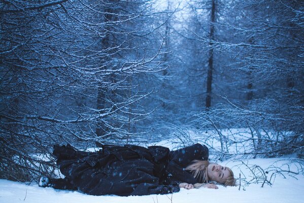 Rest in the winter forest in the snow