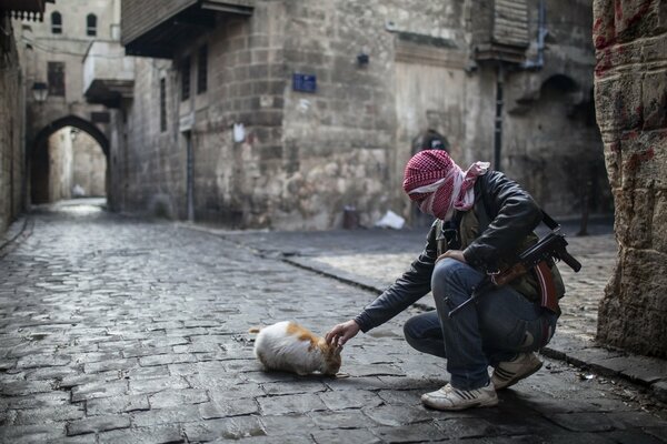 An action man strokes a cat on the street