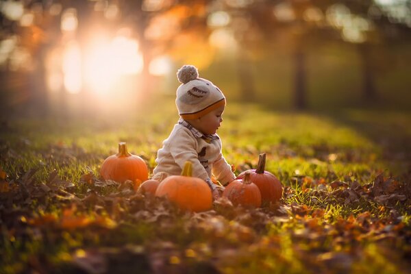 A child plays with pumpkins in the autumn nature