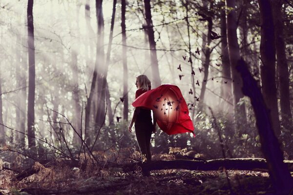 Fille avec un manteau rouge dans la forêt d automne