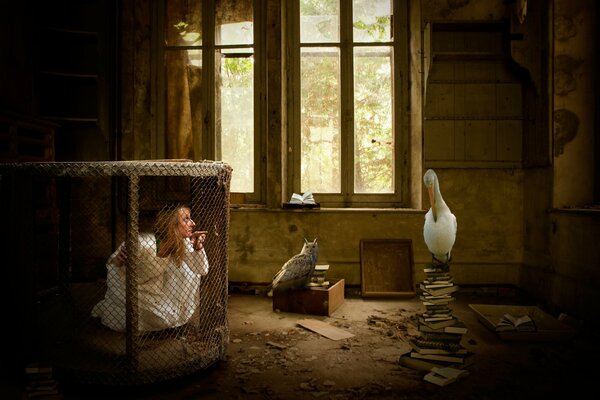 A girl in a cage in a room with a cat and a bird