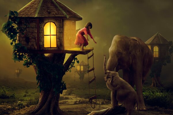 A girl and elephants in the night