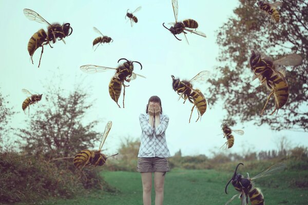 La niña sueña con enormes avispas. Las avispas atacan a una niña