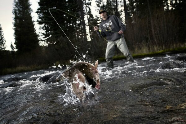 Pesca en vivo en un bosque denso