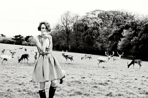 Modische keira knightley im feld mit hirschen