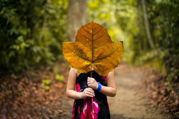 Fille debout dans la forêt en se cachant derrière une énorme feuille de