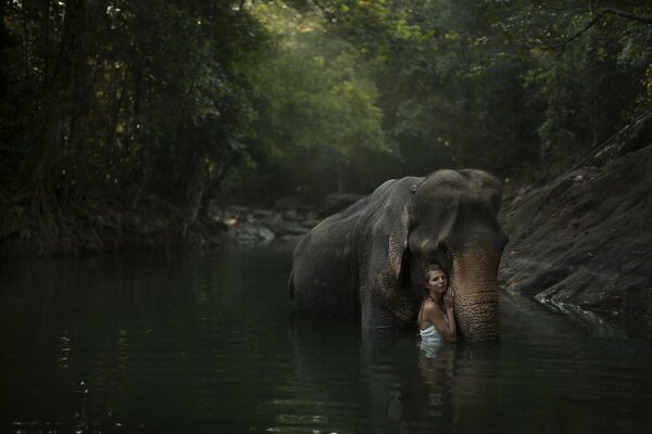 Elephant with a man in a forest river