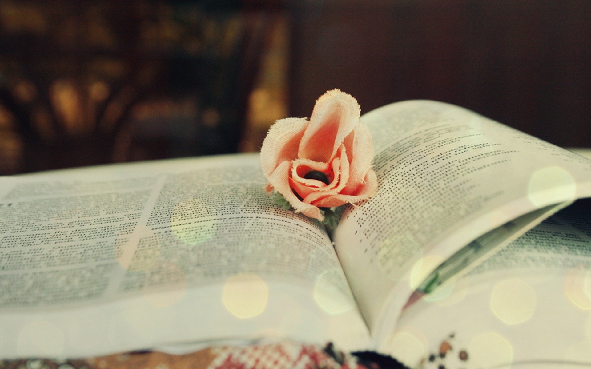 Книга цвет жизни. Книга цветы. Красивые книги. Обои на рабочий стол книги и цветы. Книги и цветы картинки.
