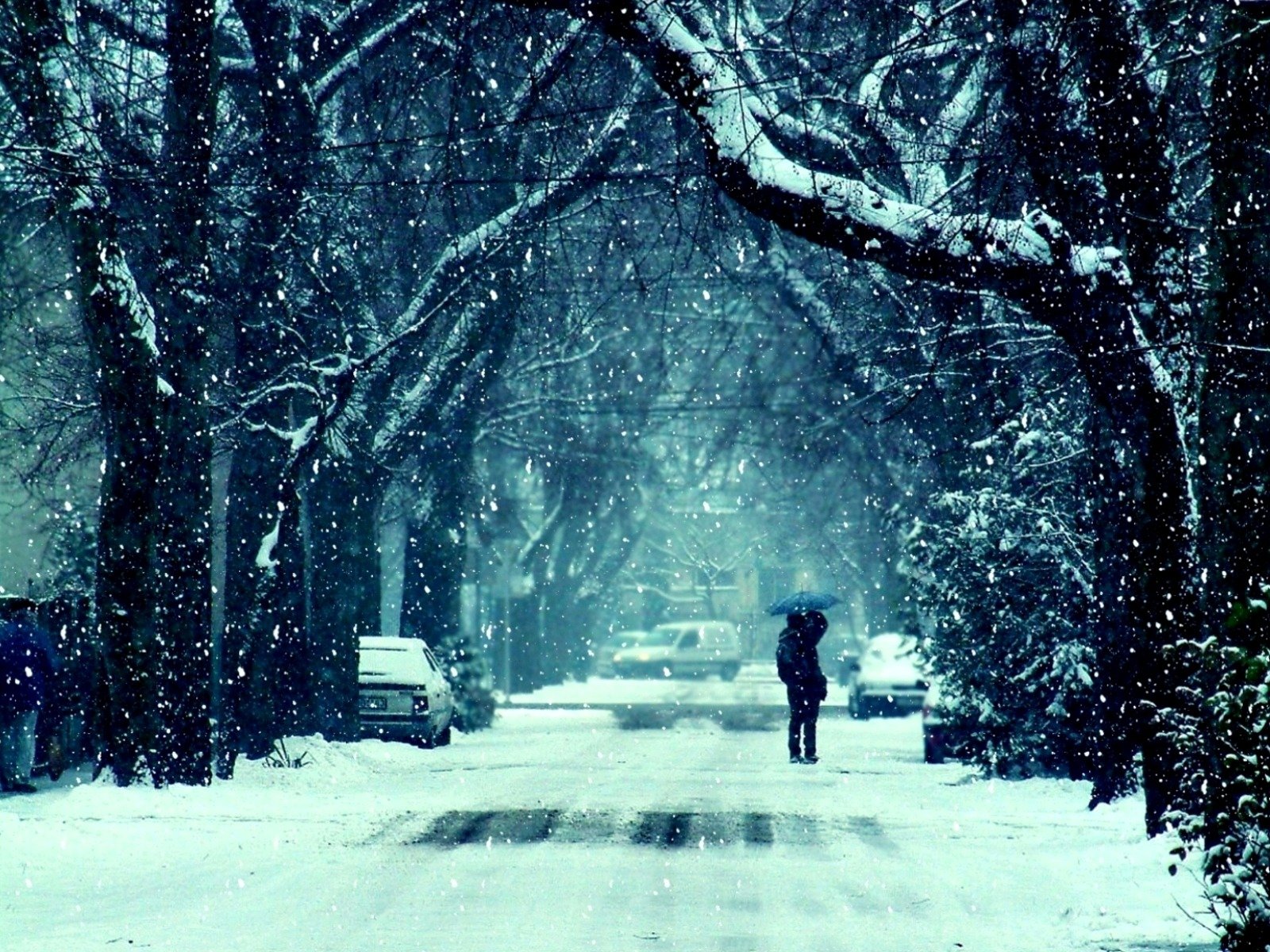 hiver gel neige route arbres couple fille gars baiser humeur sentiments photo fond fond d écran