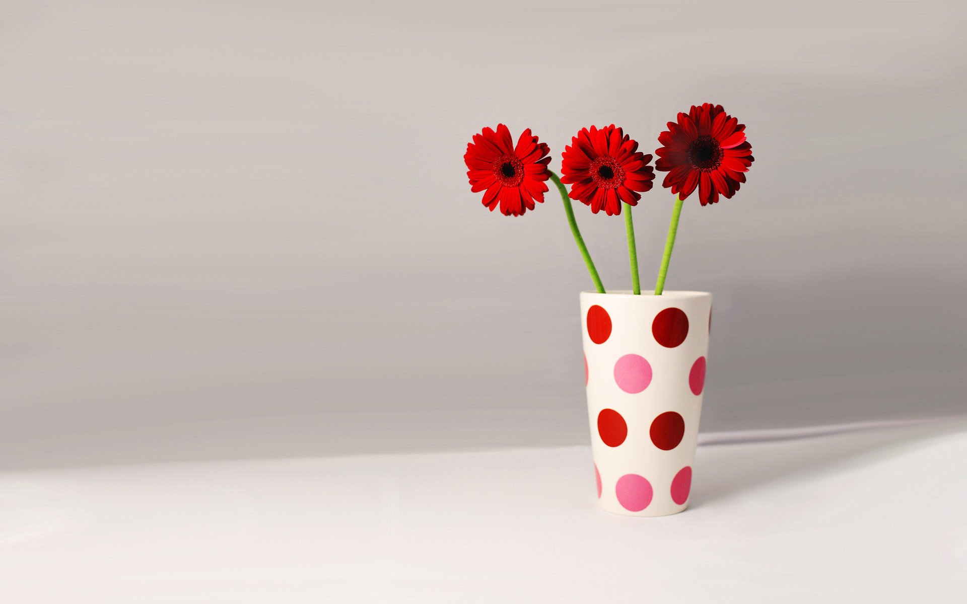 estado de ánimo estados de ánimo gerberas flores en un vaso taza de lunares